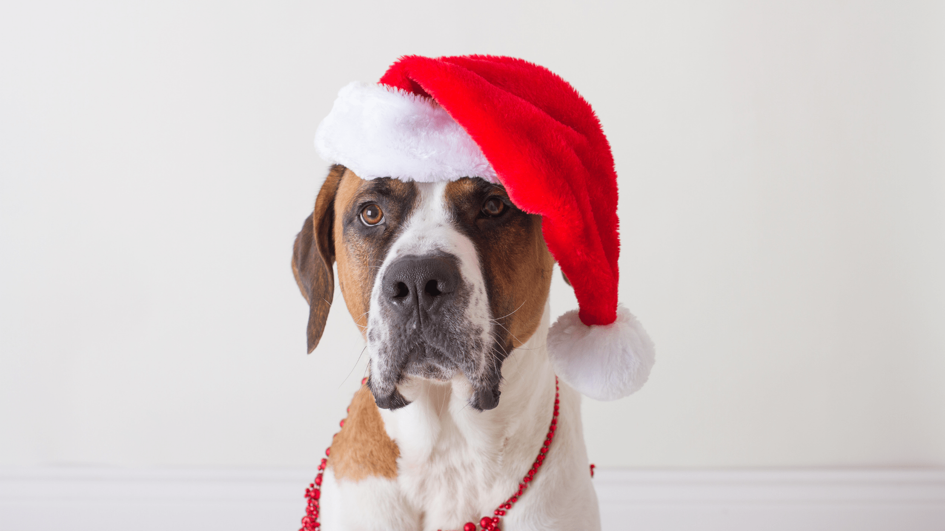 Yılbaşı Kampanyası (15.000 TL → 12.000 TL)